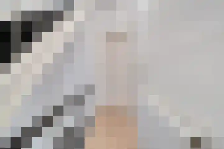 Zijlvest 17 Haarlem thumbnail 23