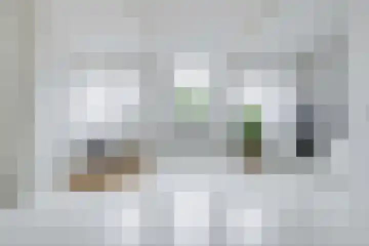 Zijlvest 17 Haarlem thumbnail 26