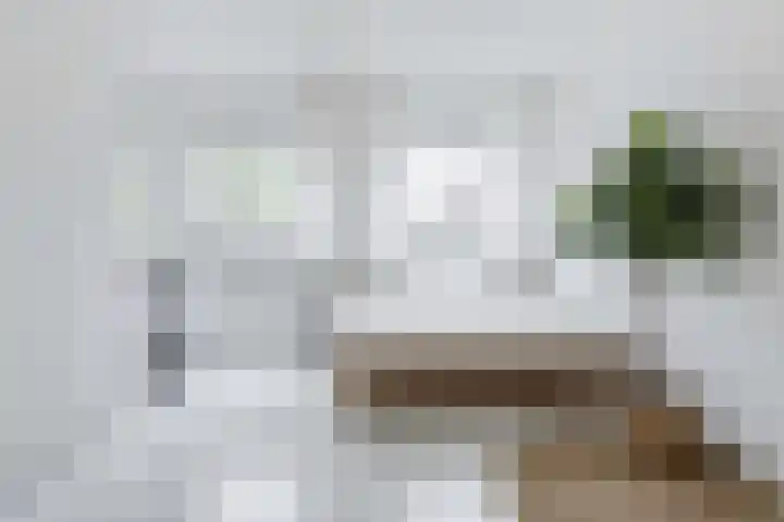 Zijlvest 17 Haarlem thumbnail 34