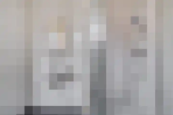 Zijlvest 17 Haarlem thumbnail 38