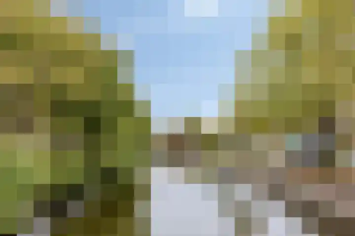 Zijlvest 17 Haarlem thumbnail 42