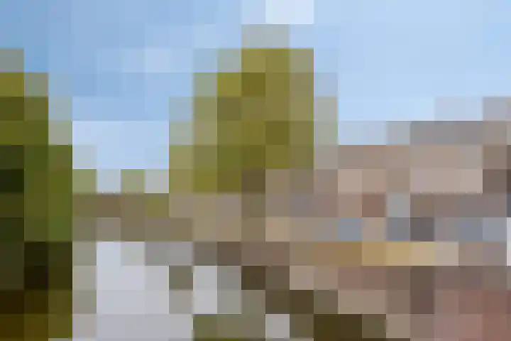 Zijlvest 17 Haarlem thumbnail 43