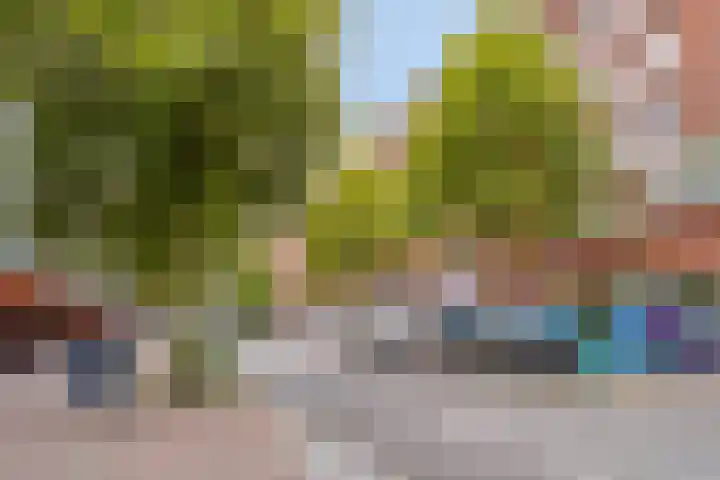 Zijlvest 17 Haarlem thumbnail 45