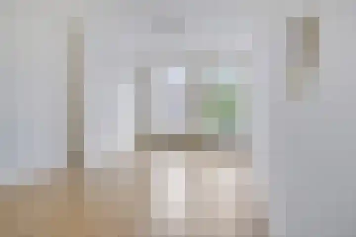 Zijlvest 17 Haarlem thumbnail 6