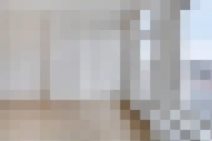 Zijlvest 17 Haarlem thumbnail 8