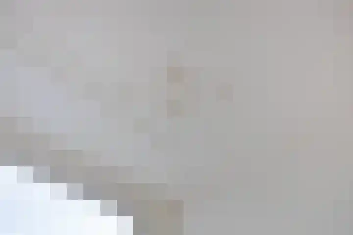 Zijlvest 17 Haarlem thumbnail 9
