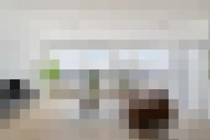 Zijlvest 18 Farmsum thumbnail 18