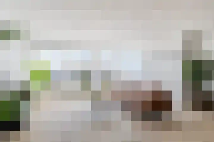 Zijlvest 18 Farmsum thumbnail 19