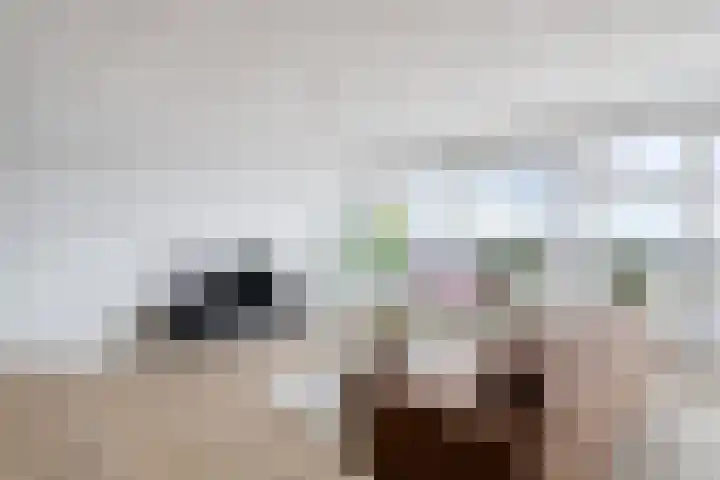 Zijlvest 18 Farmsum thumbnail 20