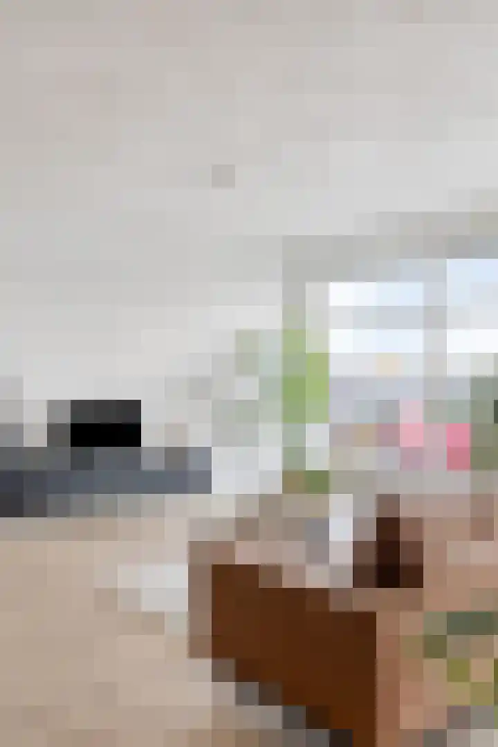 Zijlvest 18 Farmsum thumbnail 23