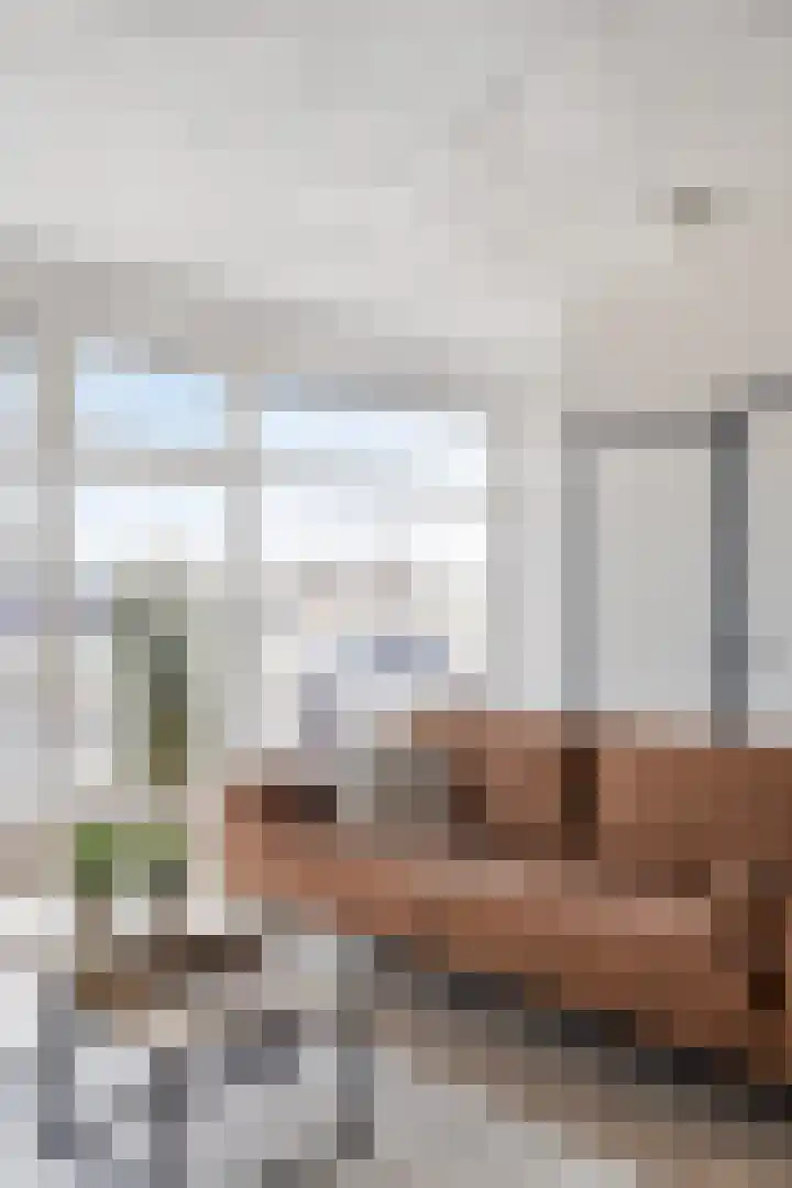 Zijlvest 18 Farmsum thumbnail 24