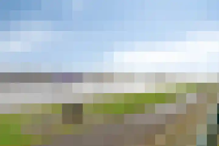 Zijlvest 18 Farmsum thumbnail 58