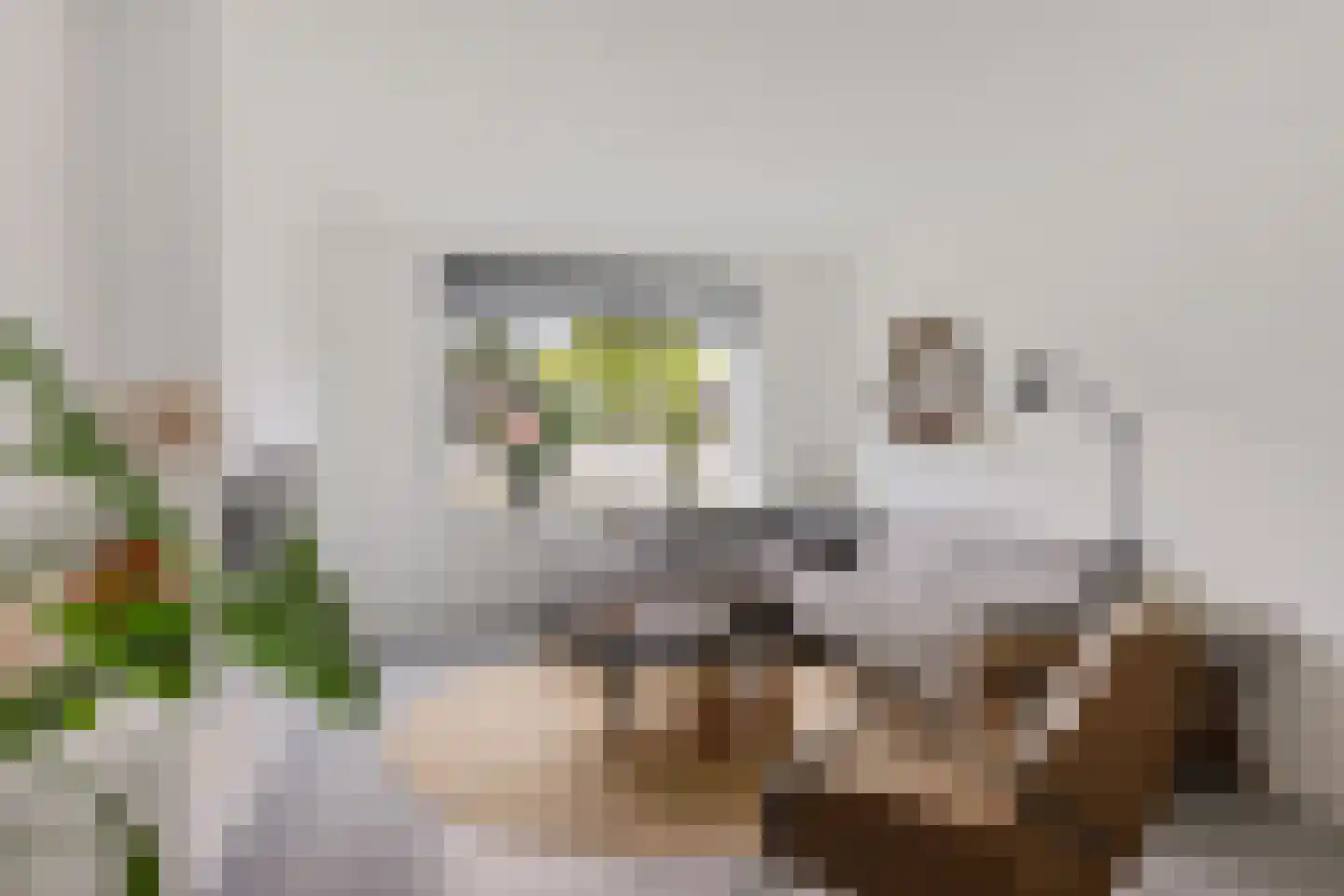 Zijlvest 19 Loppersum thumbnail 11