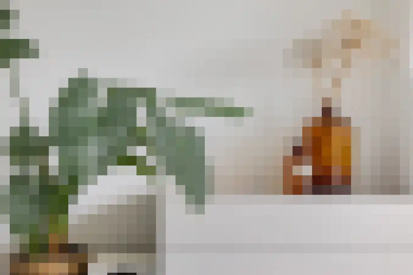 Zijlvest 19 Loppersum thumbnail 13