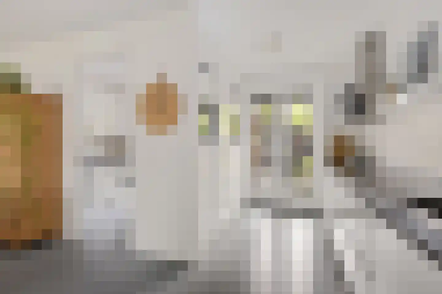 Zijlvest 19 Loppersum thumbnail 16