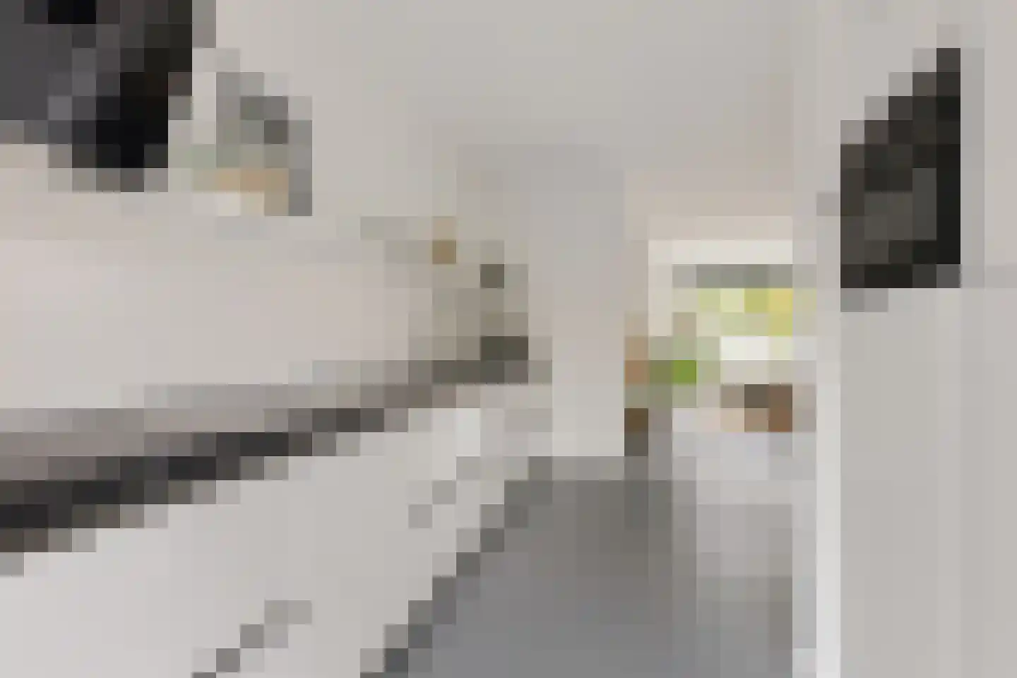 Zijlvest 19 Loppersum thumbnail 17