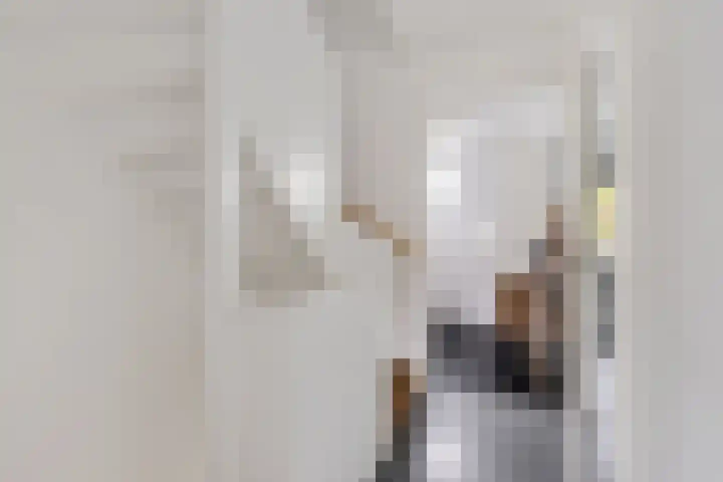 Zijlvest 19 Loppersum thumbnail 21