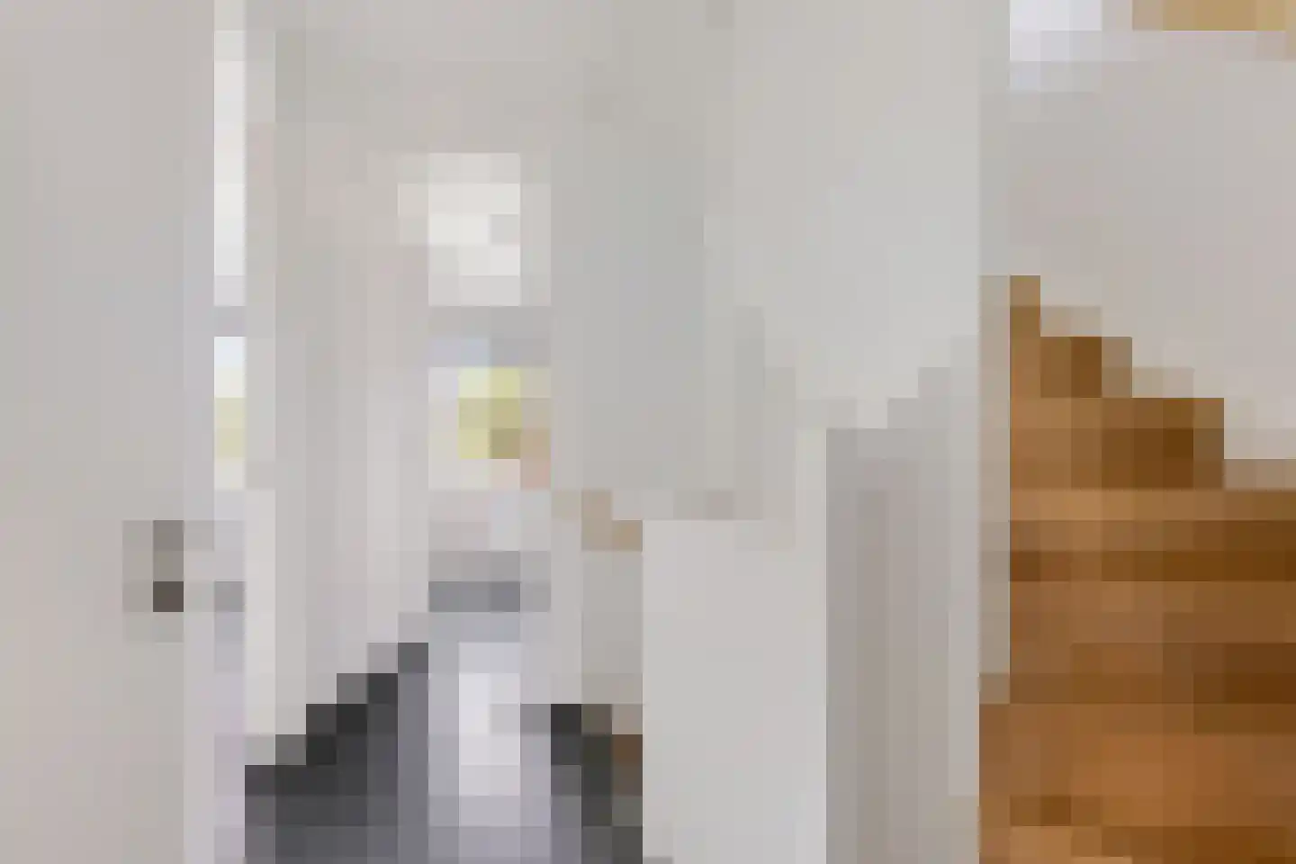 Zijlvest 19 Loppersum thumbnail 22