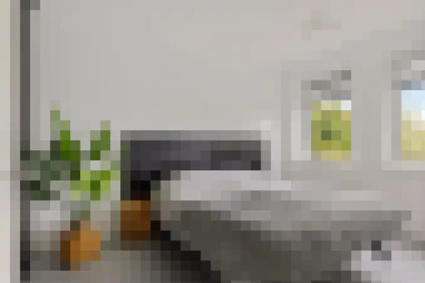 Zijlvest 19 Loppersum thumbnail 23