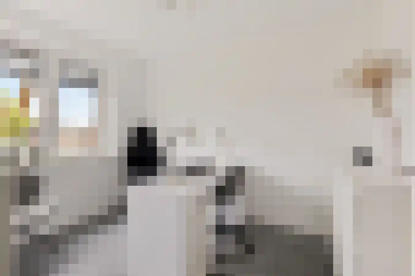 Zijlvest 19 Loppersum thumbnail 26