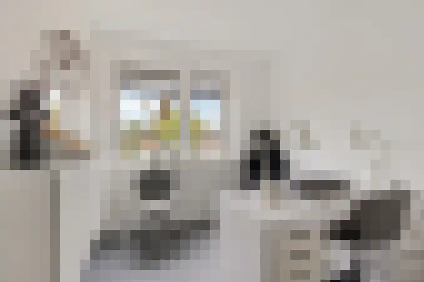 Zijlvest 19 Loppersum thumbnail 28