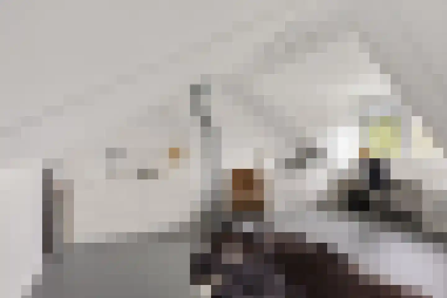 Zijlvest 19 Loppersum thumbnail 32