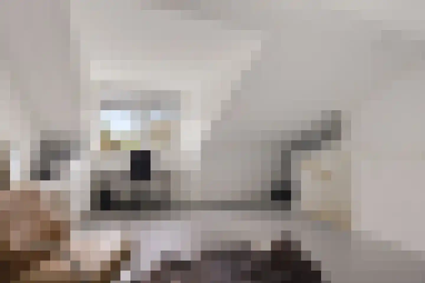 Zijlvest 19 Loppersum thumbnail 33