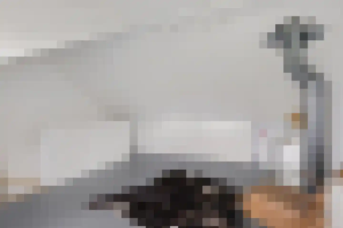 Zijlvest 19 Loppersum thumbnail 34
