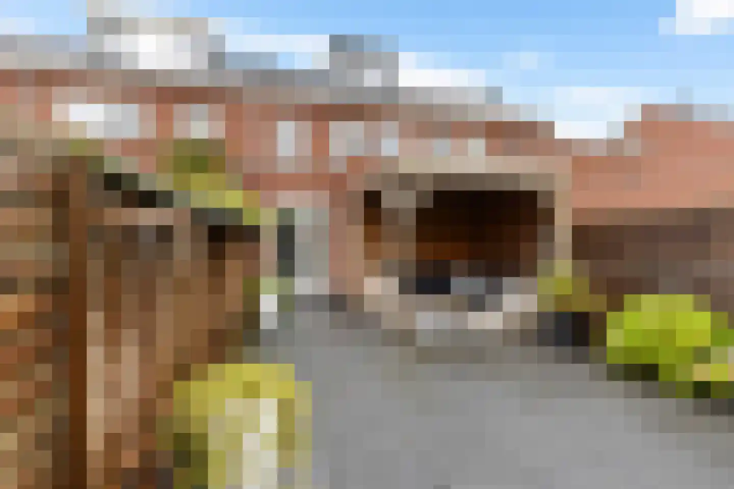 Zijlvest 19 Loppersum thumbnail 35