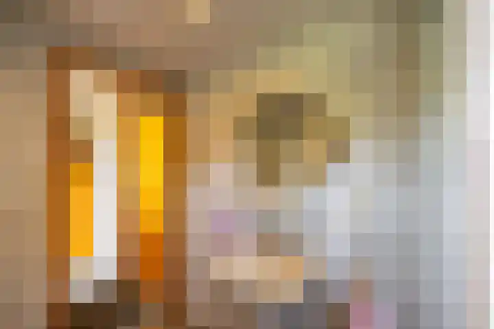 Zijlvestweg 2 Schouwerzijl thumbnail 13