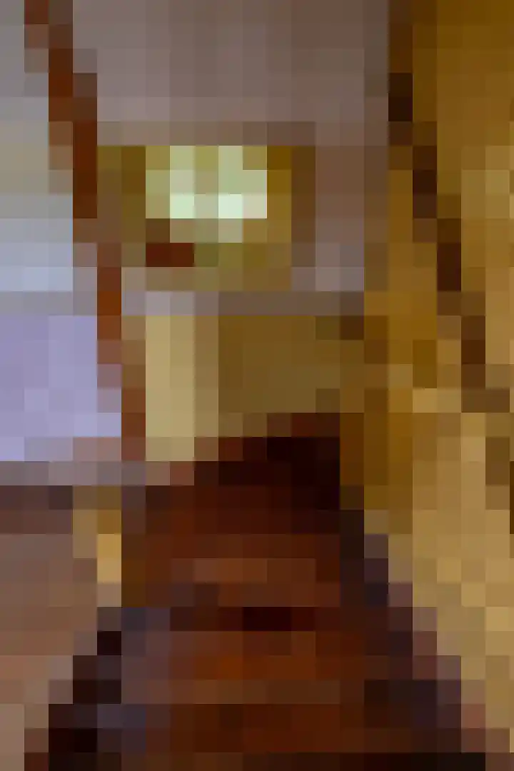 Zijlvestweg 2 Schouwerzijl thumbnail 17