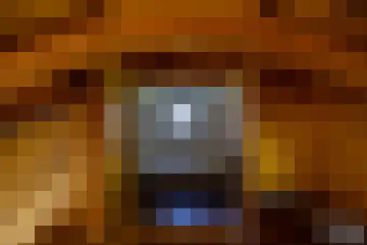 Zijlvestweg 2 Schouwerzijl thumbnail 18