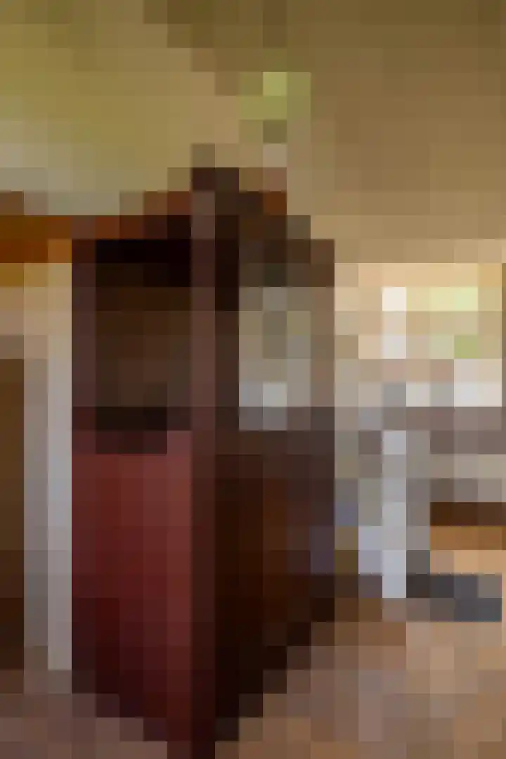 Zijlvestweg 2 Schouwerzijl thumbnail 21