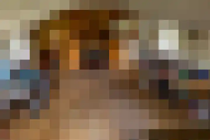 Zijlvestweg 2 Schouwerzijl thumbnail 22
