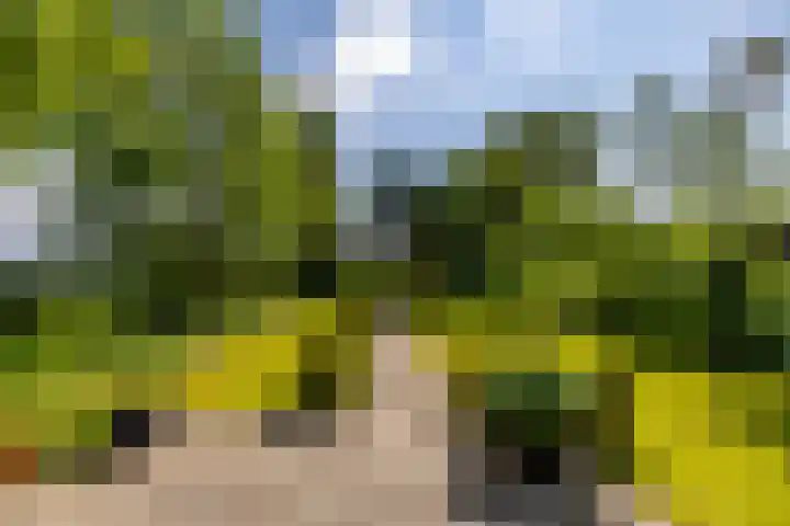 Zijlvestweg 2 Schouwerzijl thumbnail 31