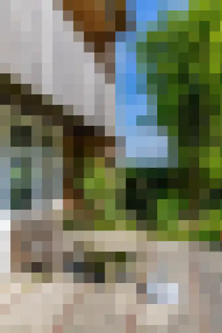 Zijlvestweg 2 Schouwerzijl thumbnail 32