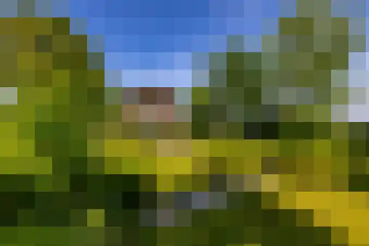 Zijlvestweg 2 Schouwerzijl thumbnail 34