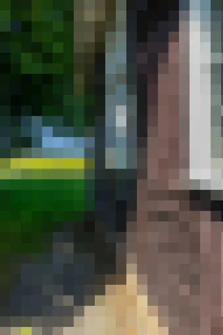 Zijlvestweg 2 Schouwerzijl thumbnail 35