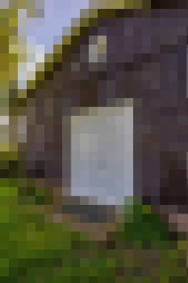 Zijlvestweg 2 Schouwerzijl thumbnail 36
