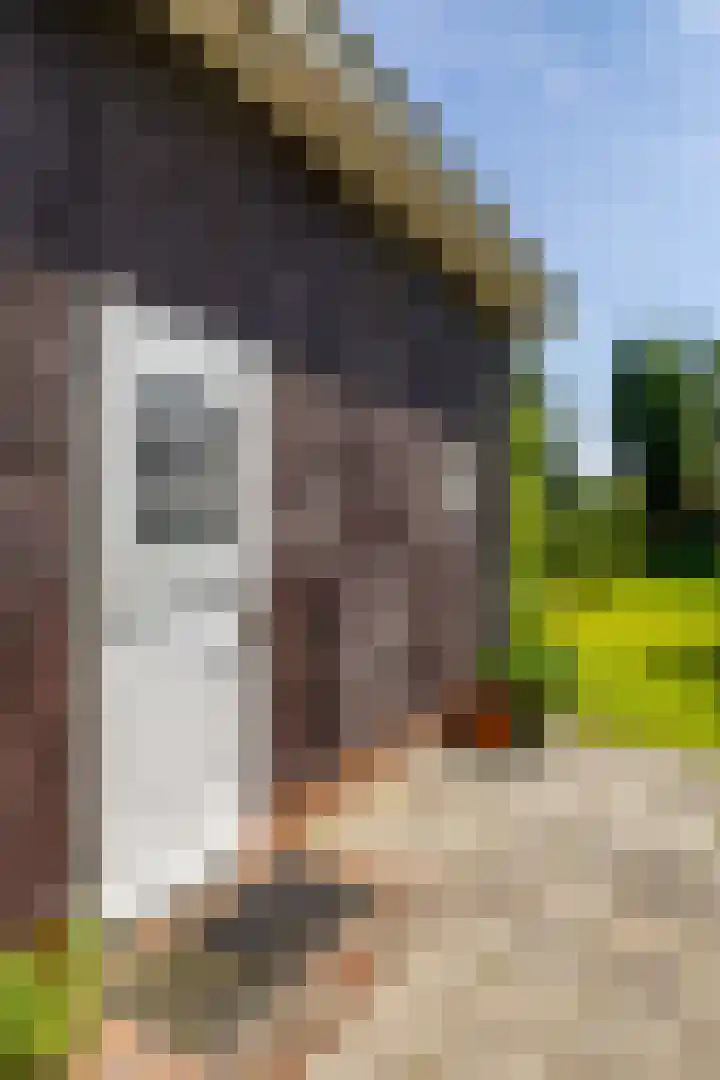 Zijlvestweg 2 Schouwerzijl thumbnail 4