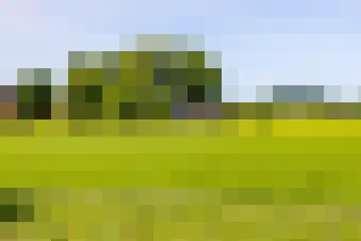 Zijlvestweg 2 Schouwerzijl thumbnail 40