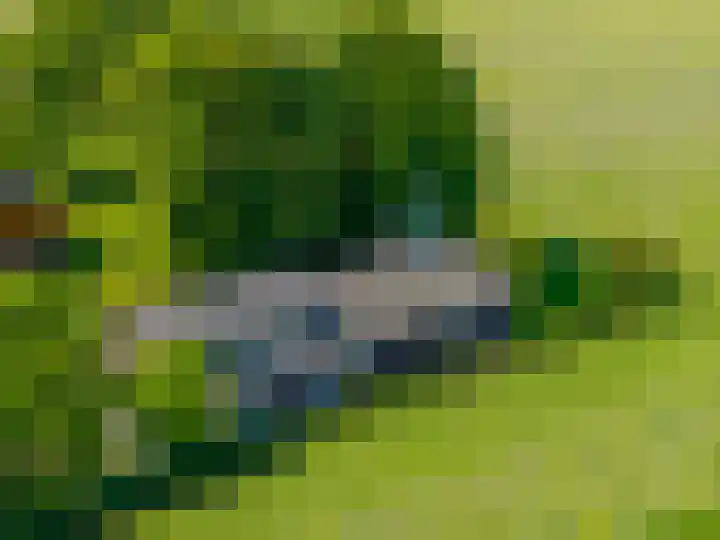 Zijlvestweg 2 Schouwerzijl thumbnail 47
