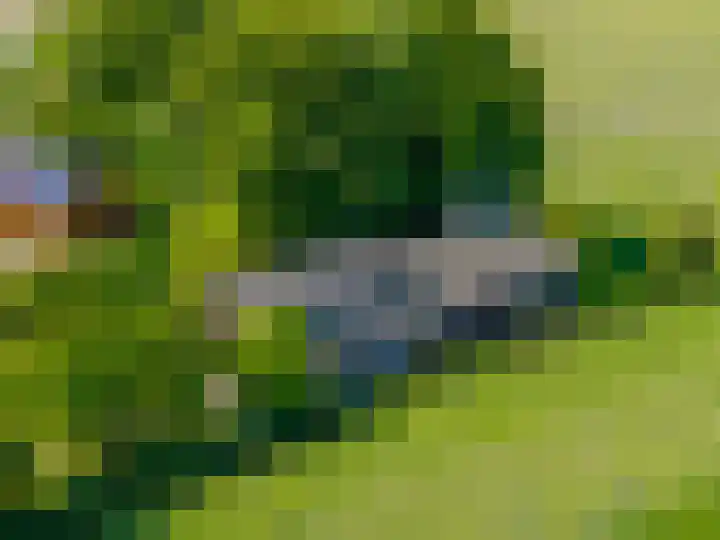 Zijlvestweg 2 Schouwerzijl thumbnail 48