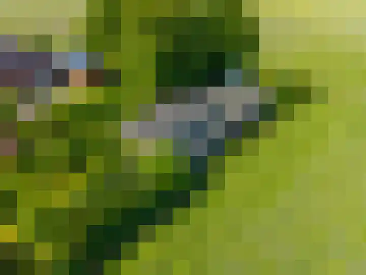 Zijlvestweg 2 Schouwerzijl thumbnail 50
