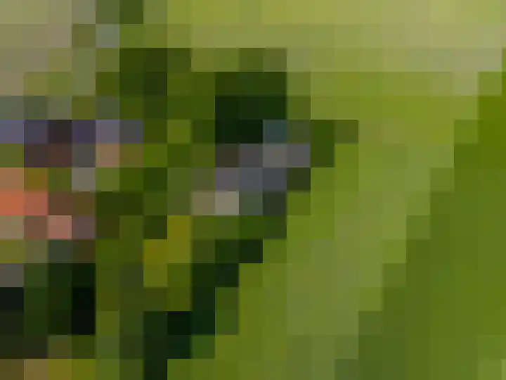 Zijlvestweg 2 Schouwerzijl thumbnail 52