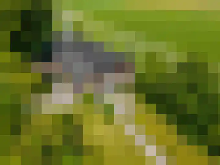 Zijlvestweg 2 Schouwerzijl thumbnail 54