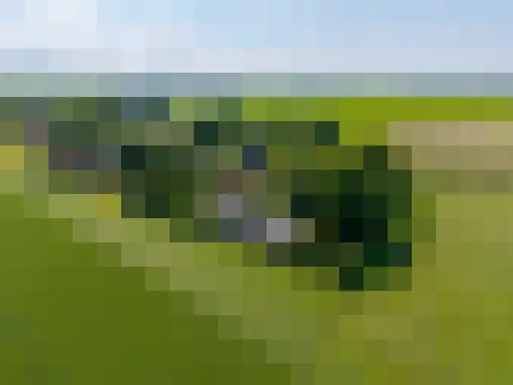 Zijlvestweg 2 Schouwerzijl thumbnail 56