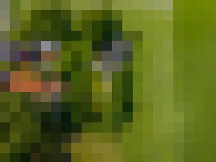 Zijlvestweg 2 Schouwerzijl thumbnail 57