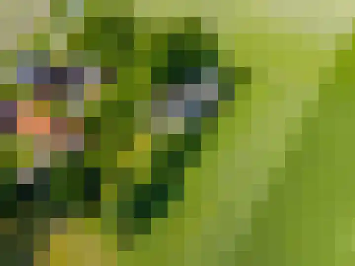 Zijlvestweg 2 Schouwerzijl thumbnail 58