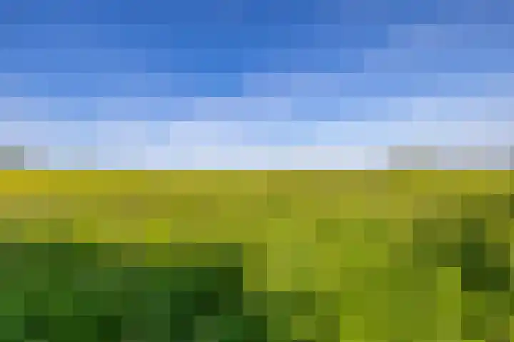 Zijlvestweg 2 Schouwerzijl thumbnail 59